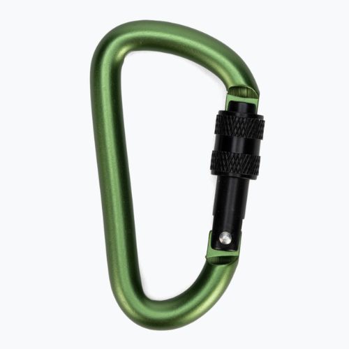 Карабін Salewa D-Shape Carbiner With Screw зелений 00-0000034102