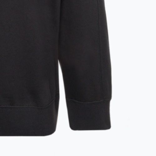 Кофта жіноча Calvin Klein Pullover BAE black beauty