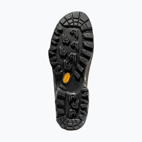 Взуття трекінгове чоловіче La Sportiva Tx5 Low GTX savana/tiger