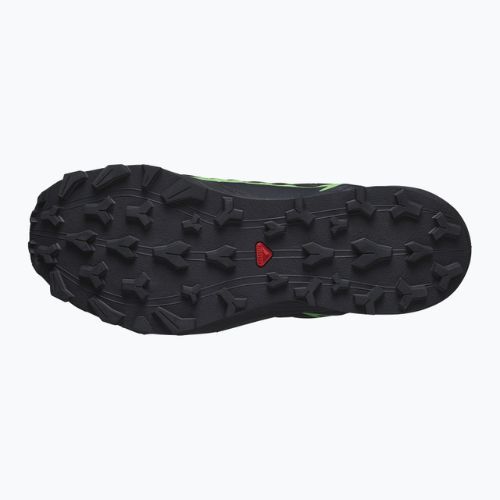 Кросівки для бігу чоловічі Salomon Thundercross GTX black/green gecko/black