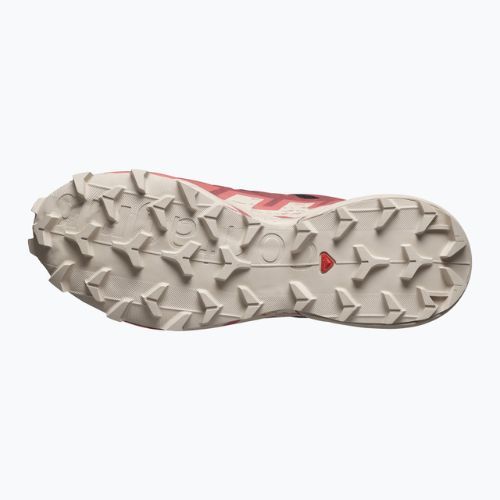 Кросівки для бігу жіночі Salomon Speedcross 6 GTX black/cow hide/faded rose