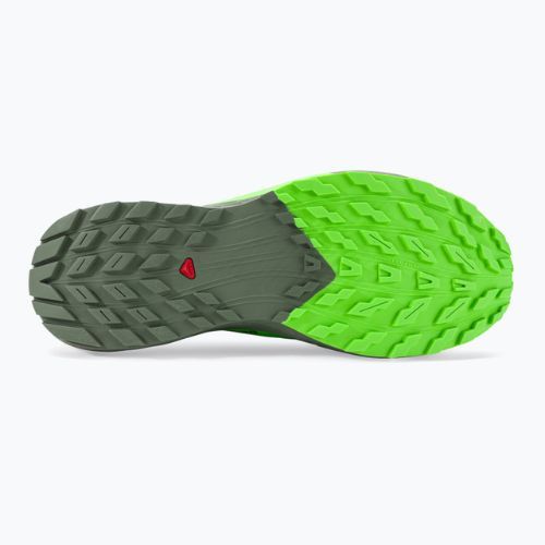 Кросівки для бігу чоловічі Salomon Sense Ride 5 black/laurel wreath/green gecko