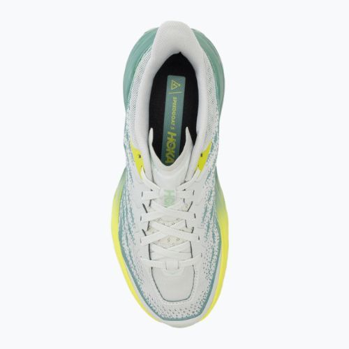 Кросівки для бігу жіночі HOKA Speedgoat 5 Wide festival mercury/trellis
