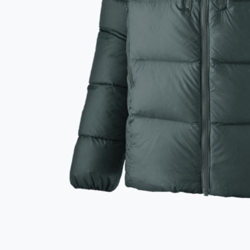 Пуховик чоловічий Patagonia Fitz Roy Down Hoody nouveau green