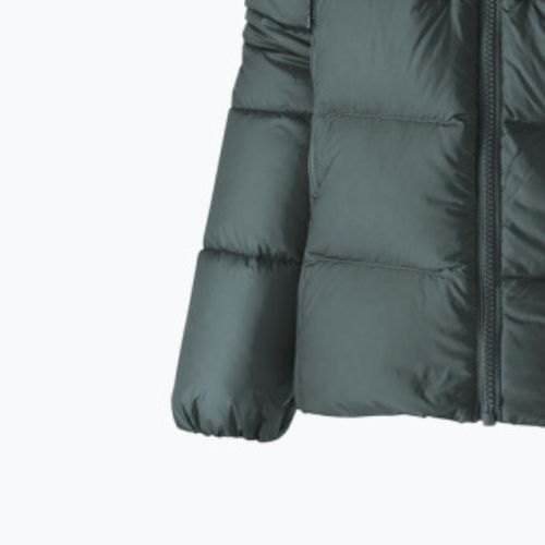 Пуховик жіночий Patagonia Fitz Roy Down Hoody nouveau green