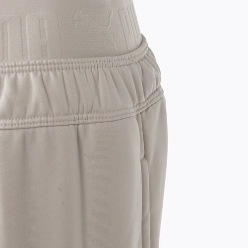 Шорти тренувальні жіноча PUMA Strong Power Fleece Jogger alpine snow