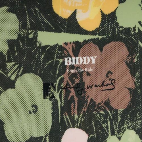 Сноуборд жіночий DC AW Biddy in bloom