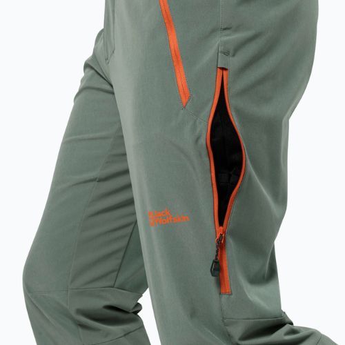 Чоловічі трекінгові штани Jack Wolfskin Alpspitze Tour hedge green