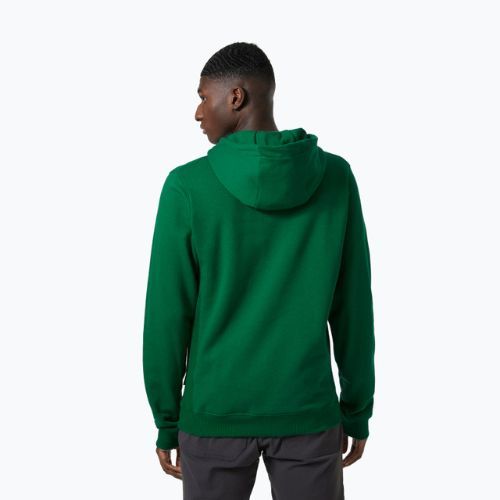Чоловічий трекінговий світшот Helly Hansen F2F Organic Cotton Hoodie малахітовий