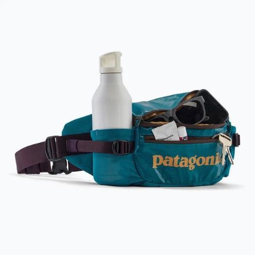 Бананка Patagonia Black Hole Waist Pack 5 л