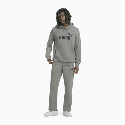 Чоловічий світшот PUMA Essentials Big Logo Hoodie TR середній сірий верес