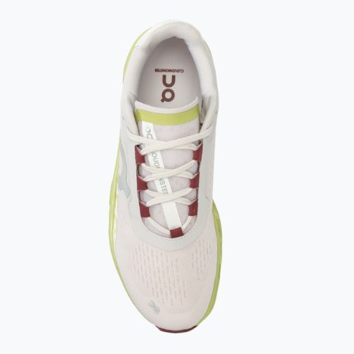 Кросівки для бігу чоловічі On Cloudmonster frost/acacia