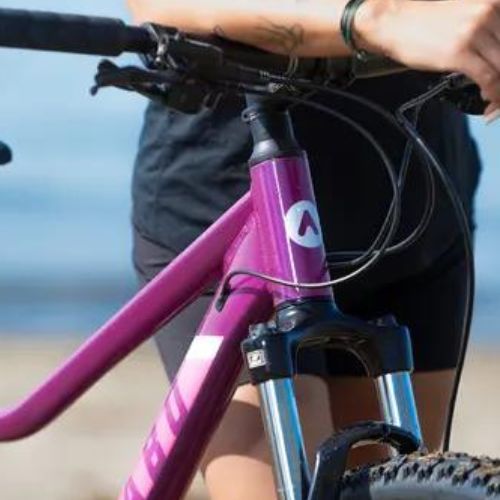 Велосипед гірський жіночий ATTABO ALPE 3.0 17" фіолетовий