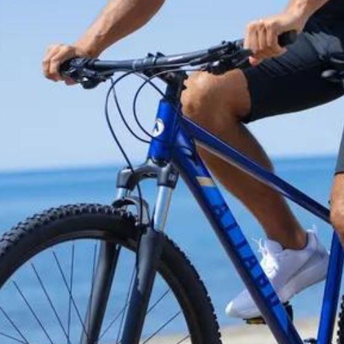 Чоловічий гірський велосипед ATTABO ALPE 3.0 синій