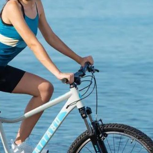 Велосипед гірський жіночий ATTABO ALPE 1.0 17" сірий