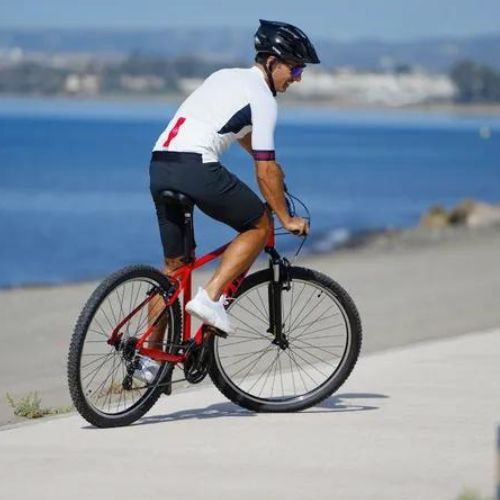 Велосипед гірський чоловічий ATTABO ALPE 1.0 19" червоний