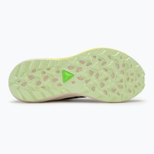 Кросівки для бігу жіночі ASICS Fuji Lite 5 black/oatmeal