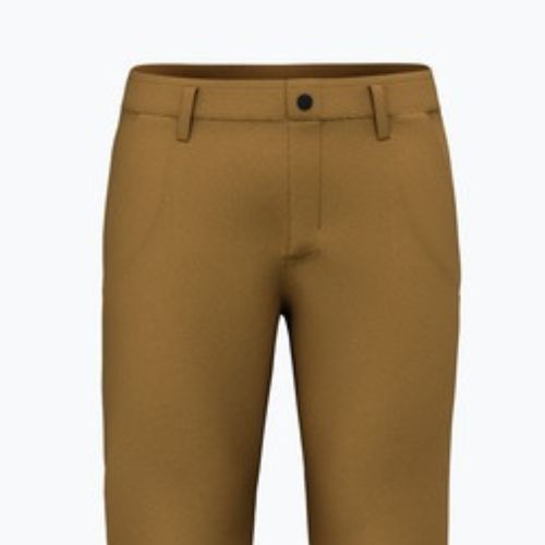 Штани трекінгові чоловічі Salewa Fanes Hemp golden brown