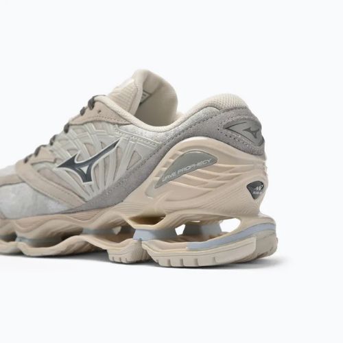 Кросівки Mizuno Wave Prophecy LS nimbus cloud/magnet/silver cloud