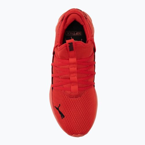 Кросівки для бігу PUMA Softride Carson Fresh for all time red/puma black