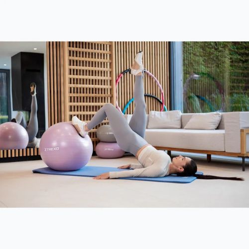 М'яч гімнастичний XTREXO TXO-B4Z008-VT 65 см фіолетовий