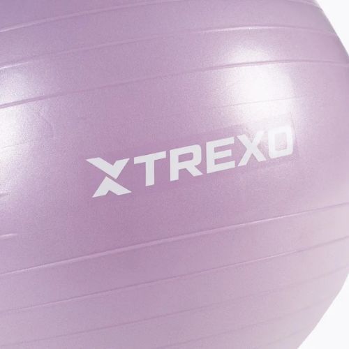 М'яч гімнастичний TREXO TXO-B4Z008-VT 65 см фіолетовий