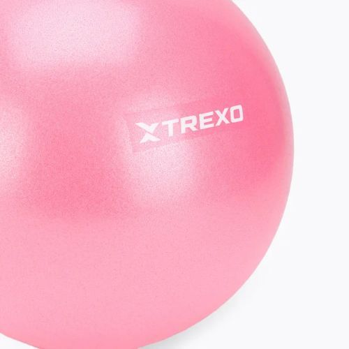 Міні-м'яч гімнастичний TREXO TXO-B4Z010-PK 20 см рожевий