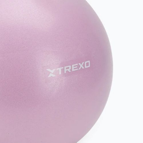 Міні-м'яч гімнастичний TREXO TXO-B4Z011-VT 25 см фіолетовий