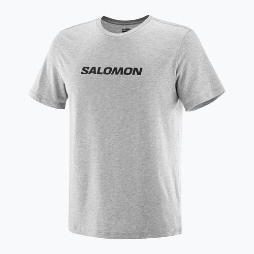 Футболка чоловіча Salomon Logo Performance heather grey