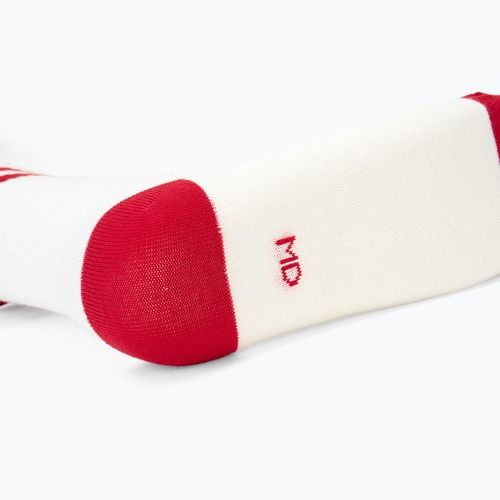 Шкарпетки Nike Everyday Essentials 2 пари різнокольорові