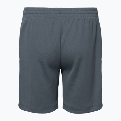 Дитячі шорти Nike Dri-Fit Multi димчасті сірі/білі