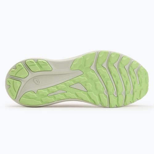 Кросівки для бігу чоловічі ASICS GT-1000 13 TR nature bathing/lime green