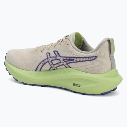 Кросівки для бігу чоловічі ASICS GT-2000 13 TR nature bathing/lime green