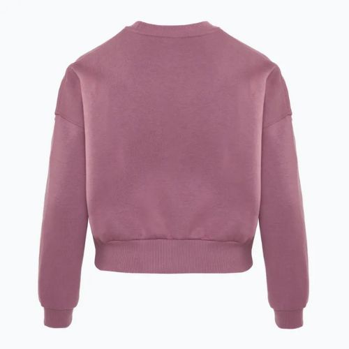 Кофта дитяча Nike Sportswear Club Fleece plum dust/light wild mango