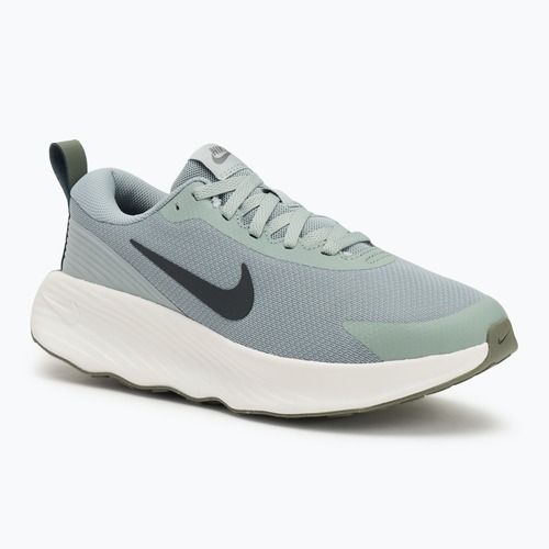 Кросівки чоловічі Nike Promina light pumice/dark stucco/summit white/anthracite