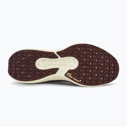 Кросівки для бігу чоловічі Nike Winflo 11 GORE-TEX light pumice/dk smokegrey/burgundycrush/ashenslate