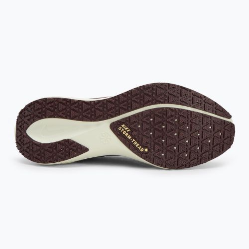 Чоловічі кросівки Nike Pegasus 41 GTX ight pumice/ burgundy crush/ dark smoke grey/ ashen slate