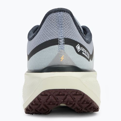 Чоловічі кросівки Nike Pegasus 41 GTX ight pumice/ burgundy crush/ dark smoke grey/ ashen slate