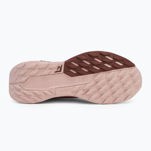 Жіночі кросівки Nike Pegasus Trail 5 GTX рожевий оксфорд / червоний зоряний пил / червона сепія