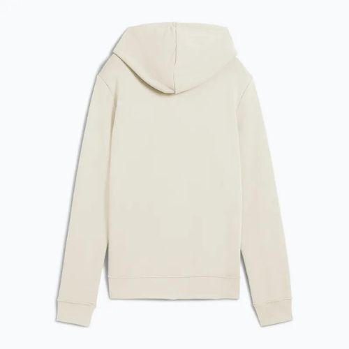 Кофта жіноча PUMA ESS No. 1 Logo Hoodie TR alpine snow