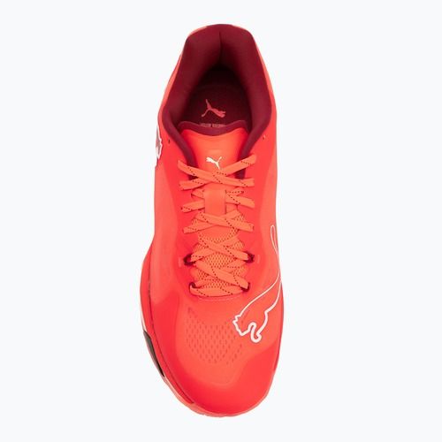 Кросівки гандбольні PUMA Vantage Nitro glowing red / puma white / dark crimson / puma black