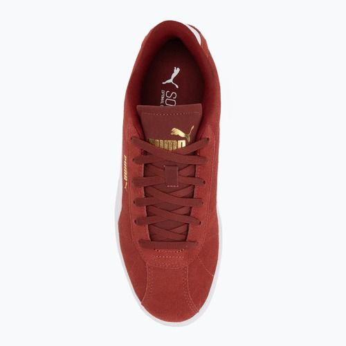Кросівки PUMA Club II intense red/puma white/puma gold