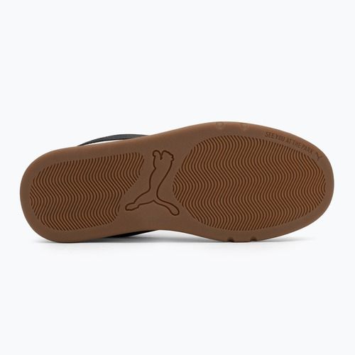 Кросівки чоловічі PUMA Park Lifestyle SK8 puma white/puma black/feather gra