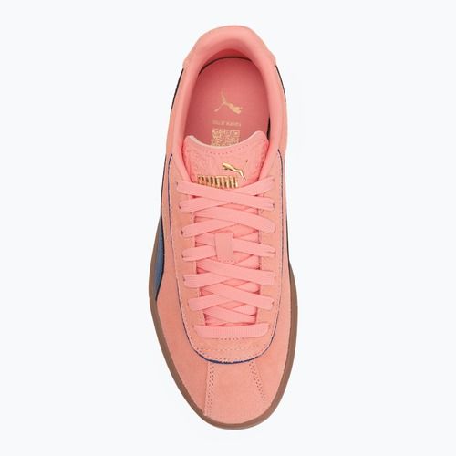 Кросівки жіночі PUMA Club Klassika Suede pink fruit/blazing blue/puma gold