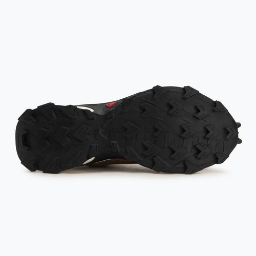 Чоловічі кросівки Salomon Alphacross 5 caribou/canteen/ulphr