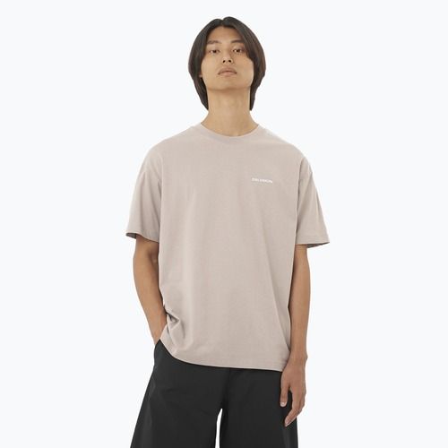 Футболка чоловіча Salomon Logo RX Tee etherea