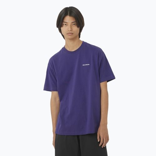 Футболка чоловіча Salomon Logo RX Tee astral