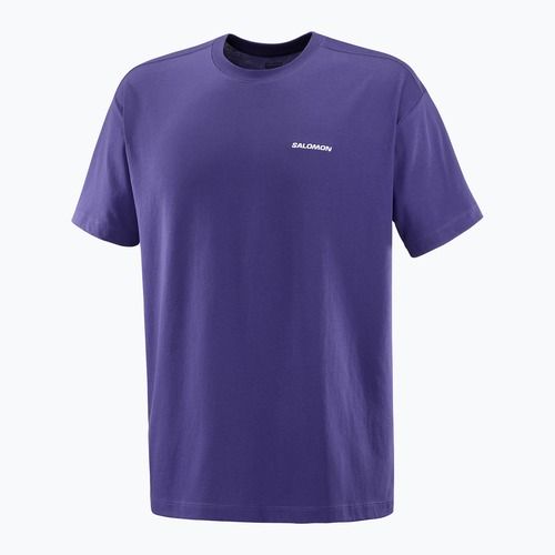 Футболка чоловіча Salomon Logo RX Tee astral