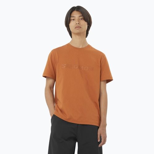 Футболка чоловіча Salomon Big Logo Tee sierra