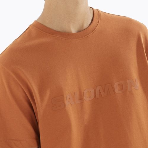 Футболка чоловіча Salomon Big Logo Tee sierra